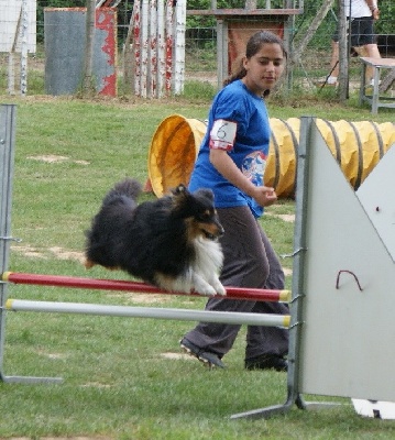 Des Sirenes Enchantees - DEMON Black Champion Regional en Dordogne