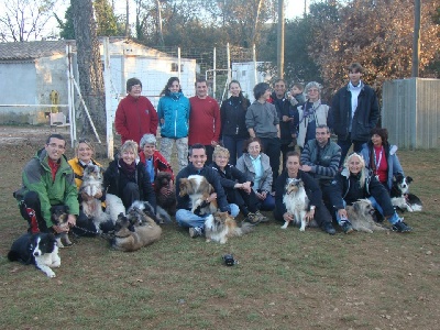 Des Sirenes Enchantees - Stage Agility à Brignoles les 25 et 26 Février