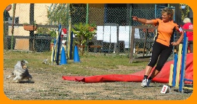 Des Sirenes Enchantees - Concours a Mougins le 02.10.2011