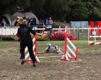 Des Sirenes Enchantees - Sélectif du Championnat de France