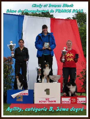 Des Sirenes Enchantees - Demon Vice Champion de France