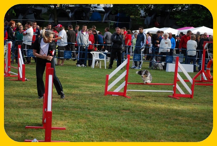 Notre passion L'Agility