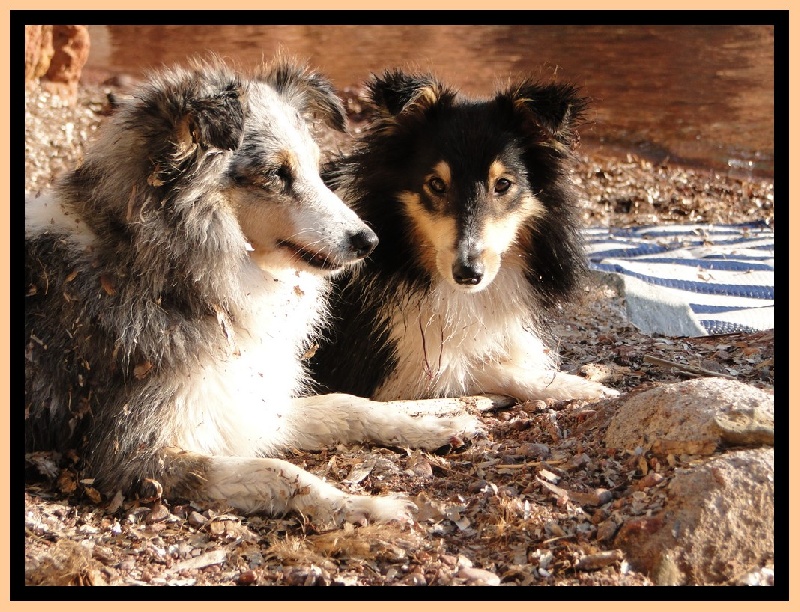 Nos Shets et L eau